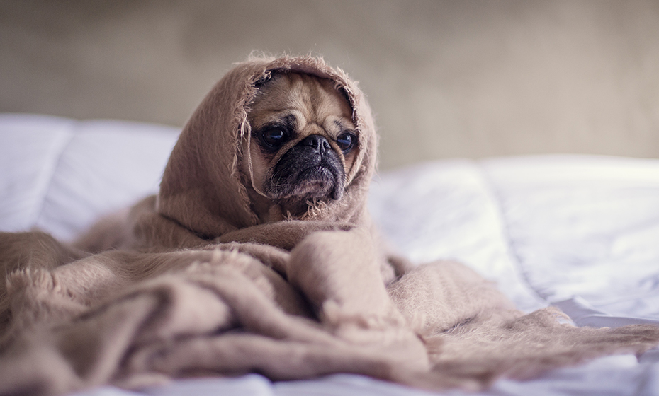 Five Reasons Why You Get Disappointed By Outsourcing Companies