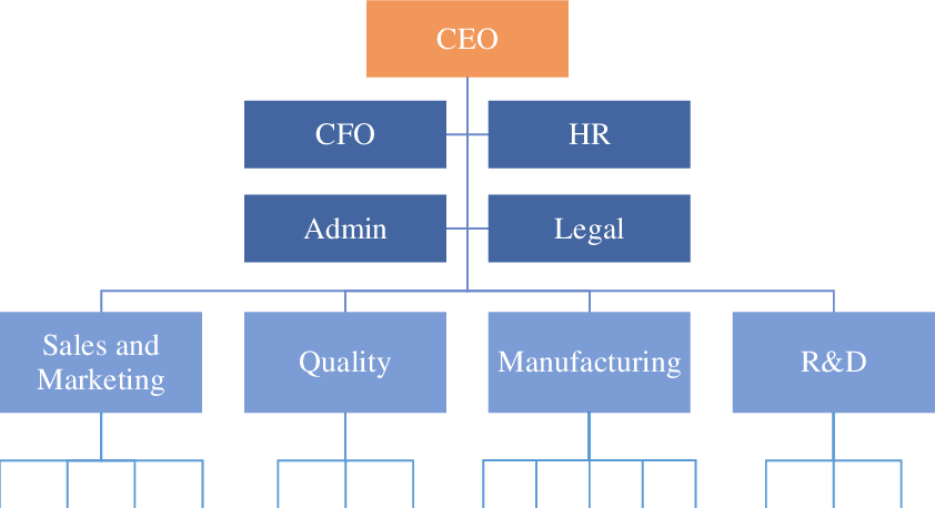 Establishing a Company Structure