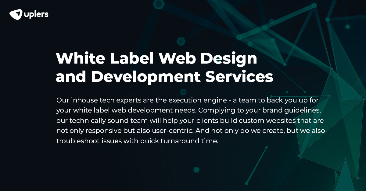 web designer in tampa