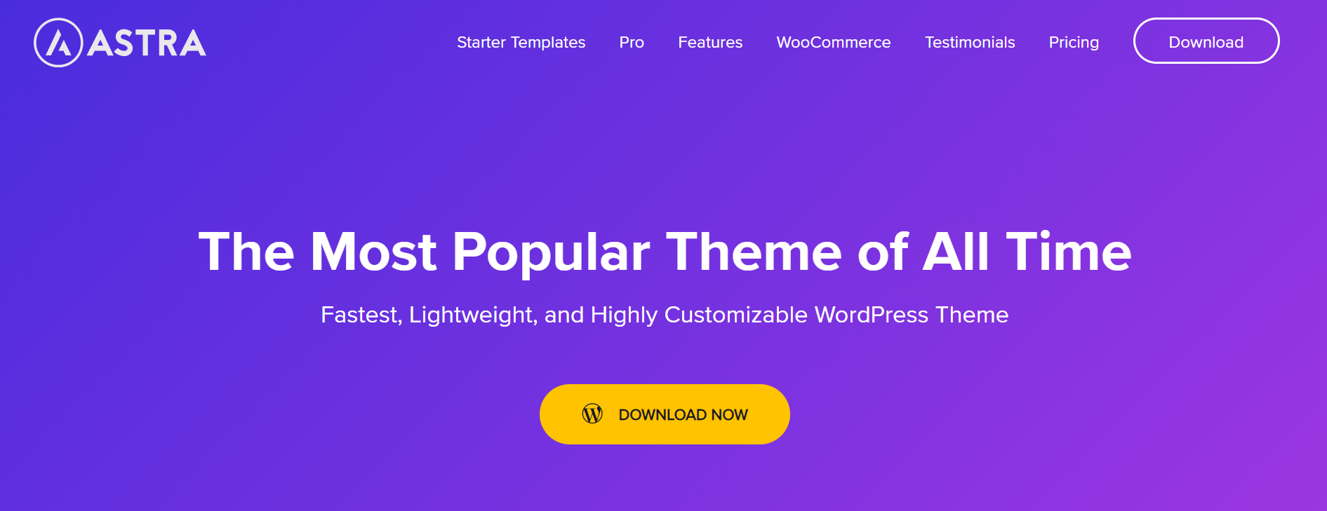 customizable WordPress Theme