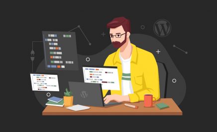 Everything You Need to Know About WordPress Plugin Developer
