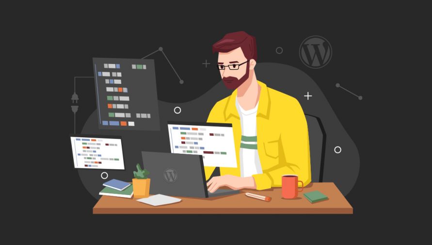 Everything You Need to Know About WordPress Plugin Developer