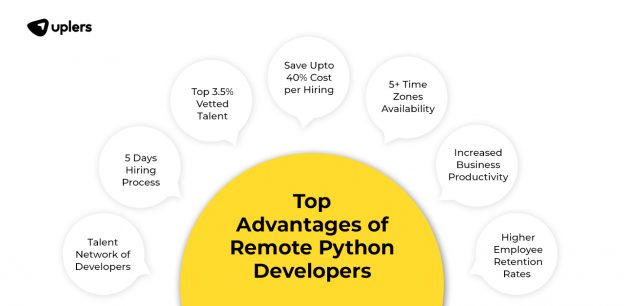 How Remote Python Developer Jobs Save Your Company Investment? - Uplers