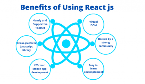 From Startups to Enterprises: Why ReactJS Developers Are Essential